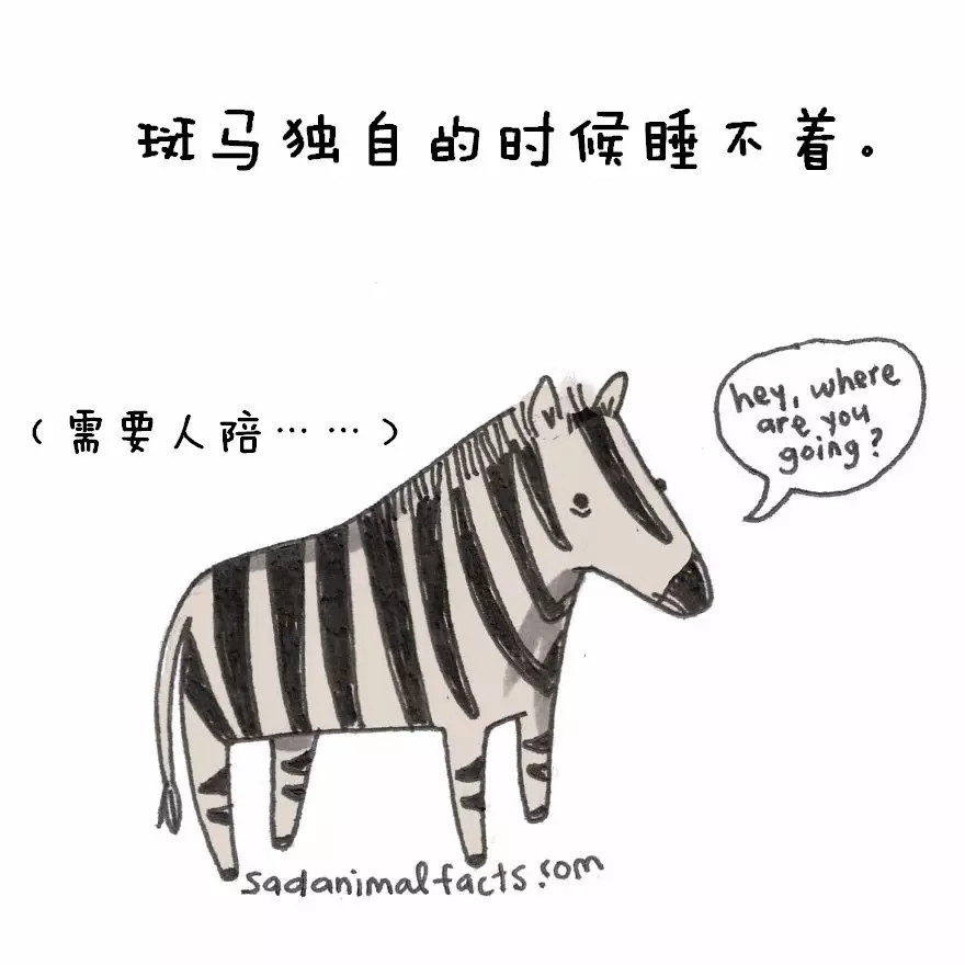 涨姿势：猪是看不到天空的：）