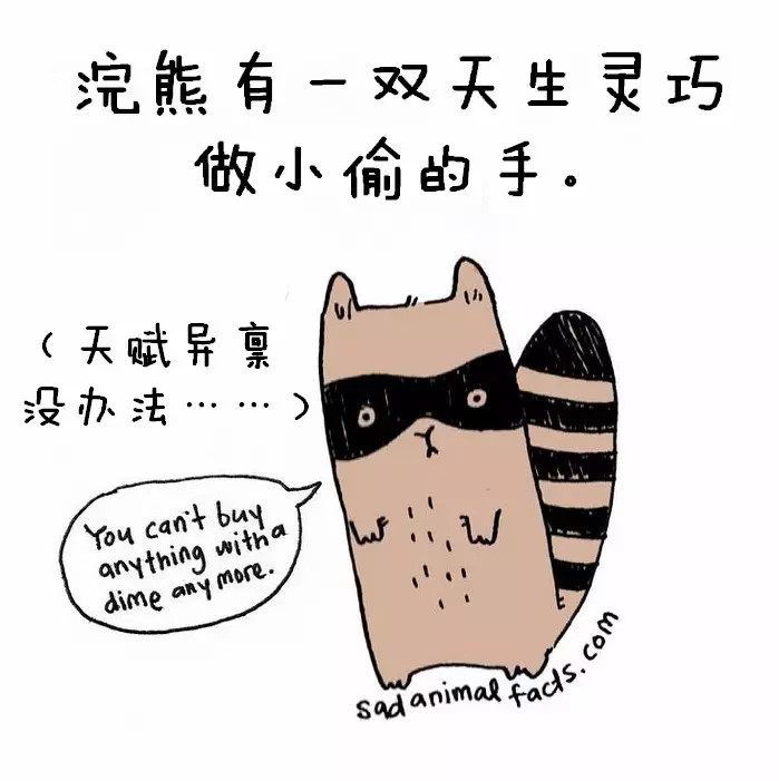 涨姿势：猪是看不到天空的：）