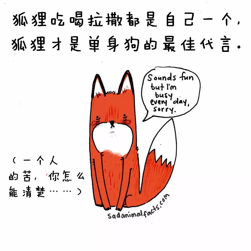 涨姿势：猪是看不到天空的：）