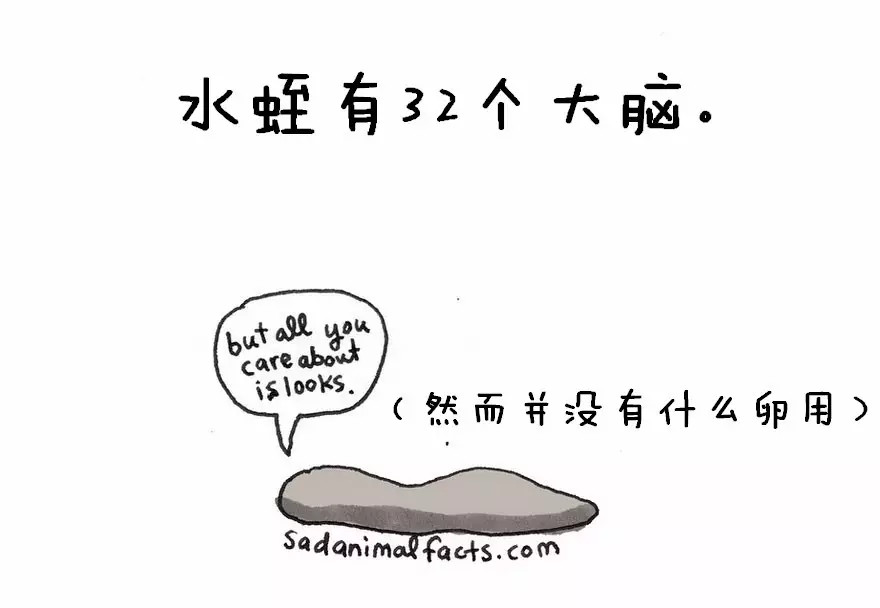 涨姿势：猪是看不到天空的：）
