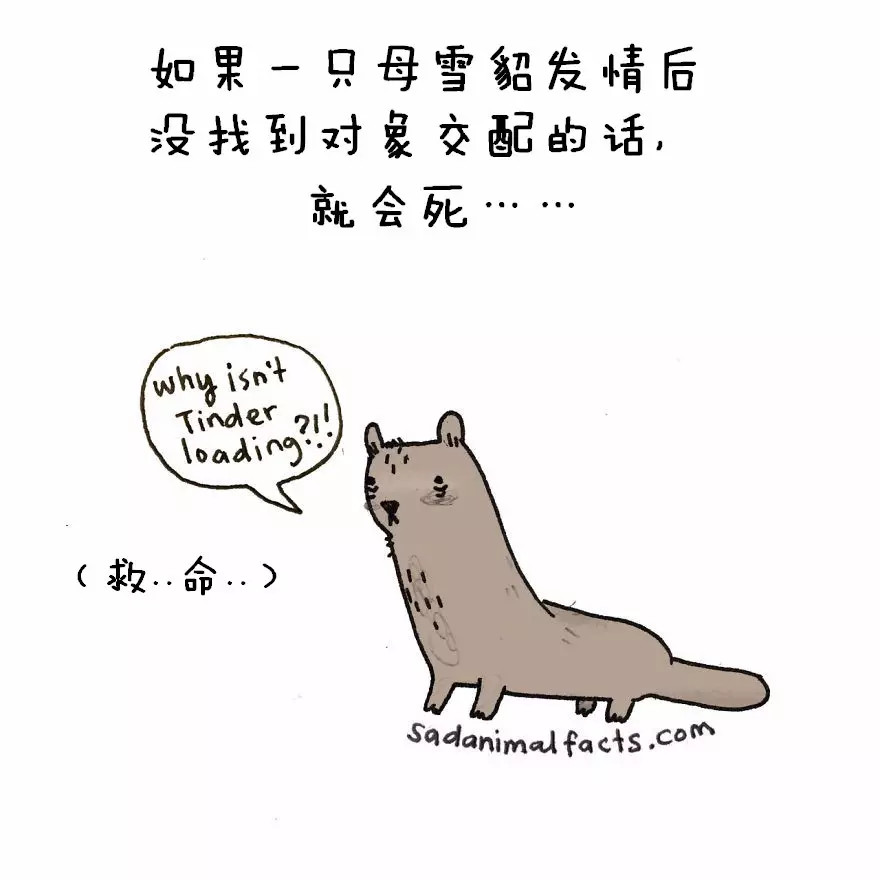 涨姿势：猪是看不到天空的：）