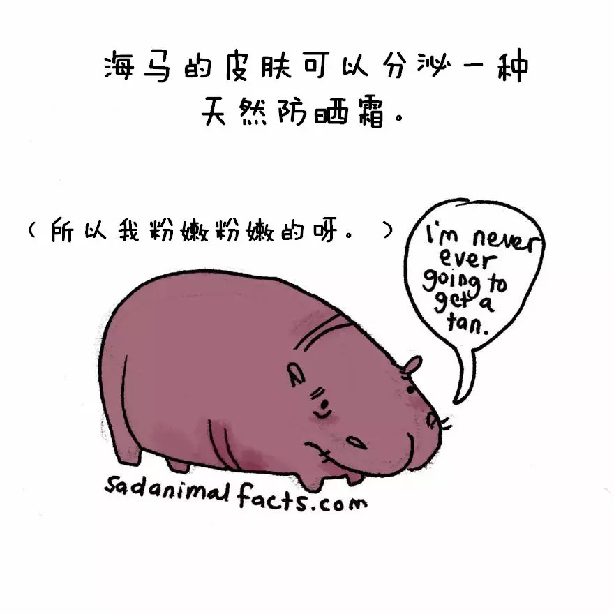 涨姿势：猪是看不到天空的：）