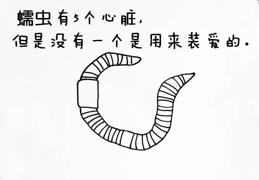 涨姿势：猪是看不到天空的：）