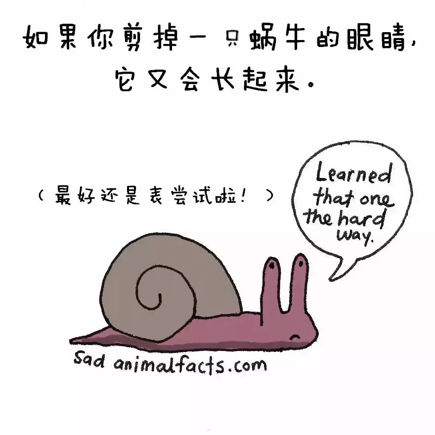 涨姿势：猪是看不到天空的：）