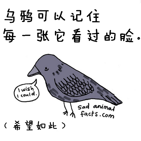 涨姿势：猪是看不到天空的：）