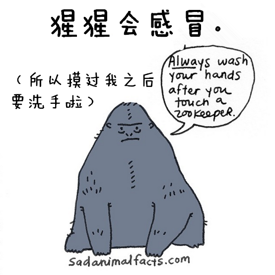 涨姿势：猪是看不到天空的：）