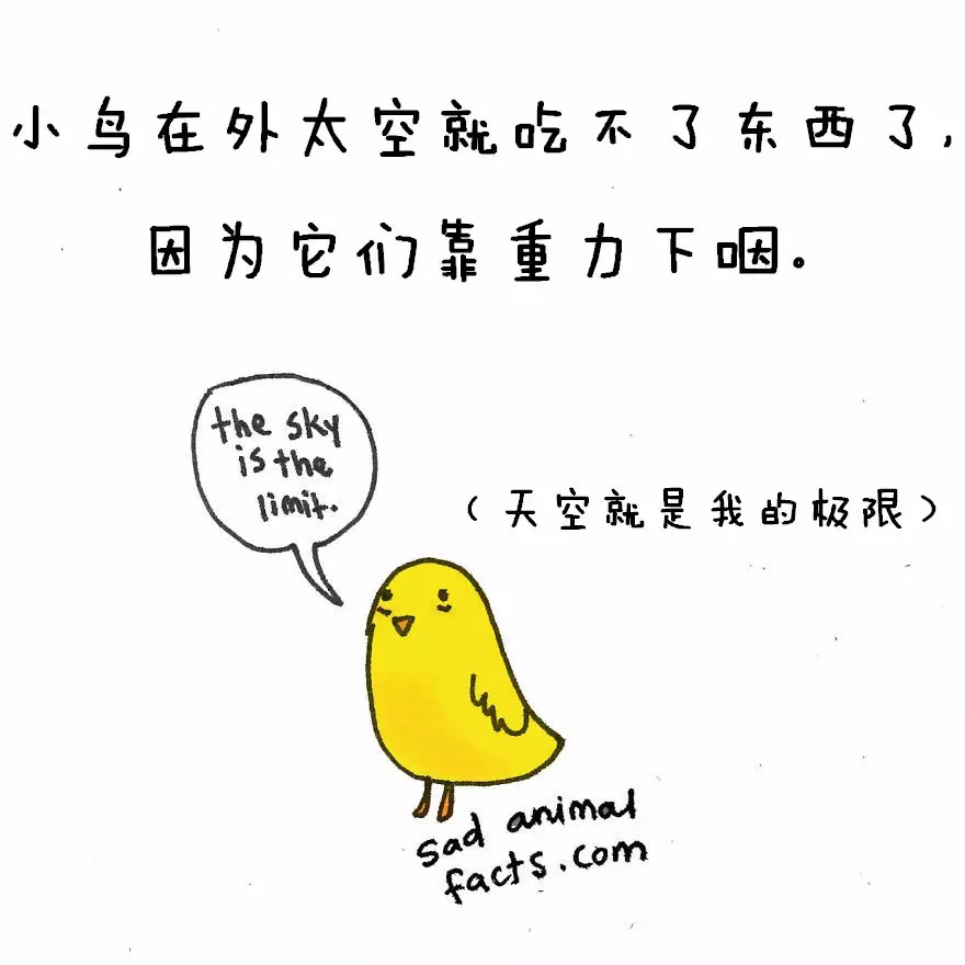 涨姿势：猪是看不到天空的：）