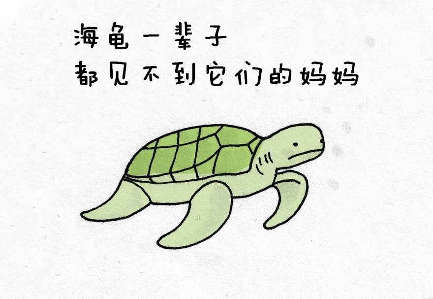 涨姿势：猪是看不到天空的：）