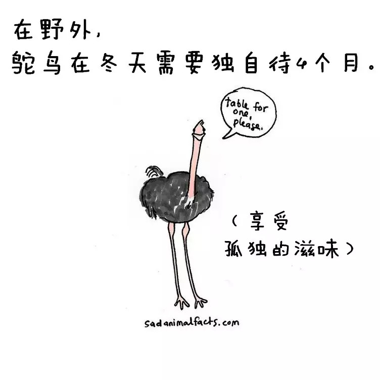 涨姿势：猪是看不到天空的：）