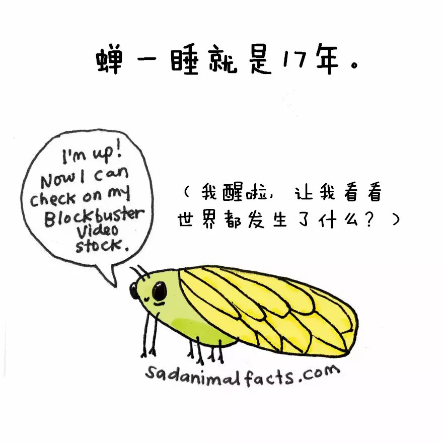 涨姿势：猪是看不到天空的：）