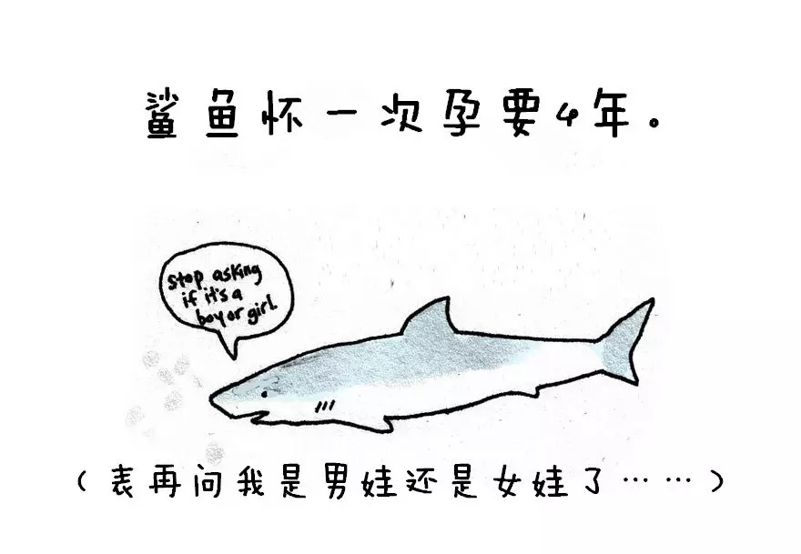 涨姿势：猪是看不到天空的：）