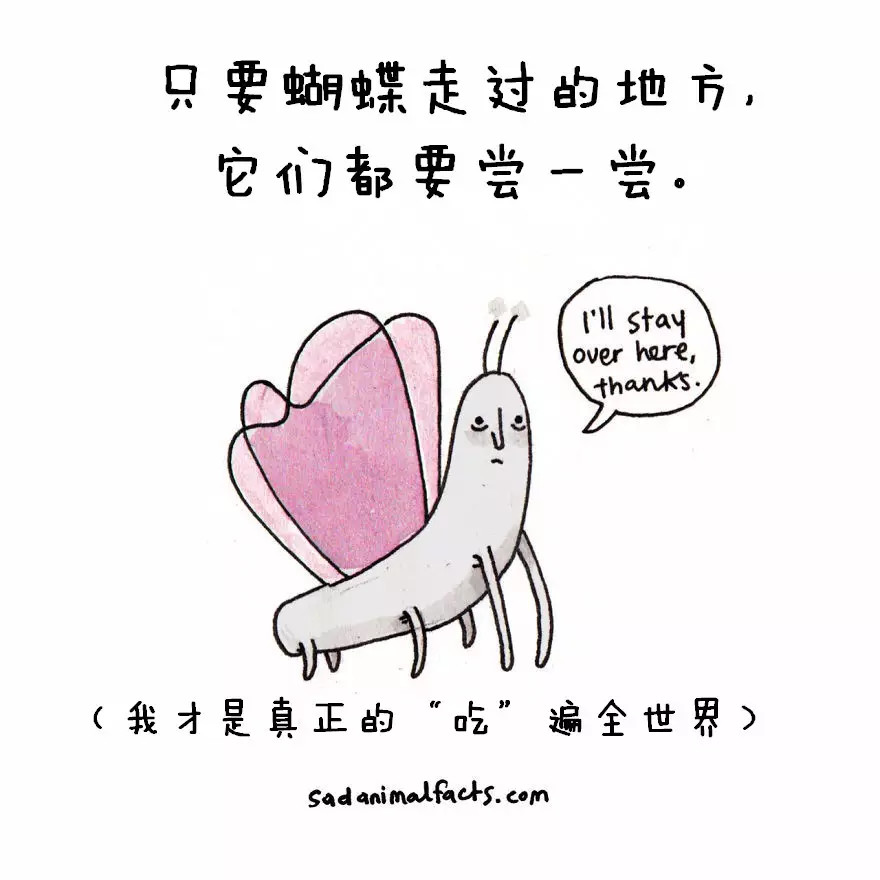 涨姿势：猪是看不到天空的：）