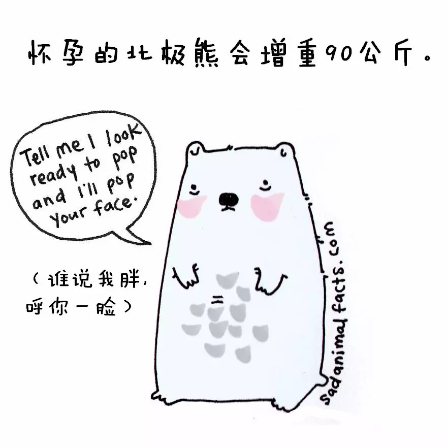 涨姿势：猪是看不到天空的：）