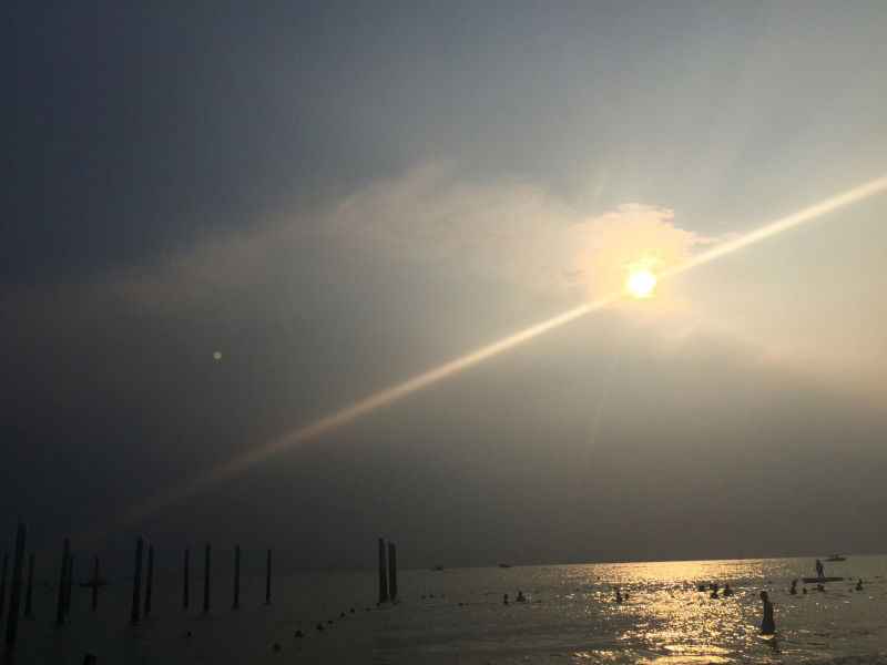 小芒果的夕阳-1