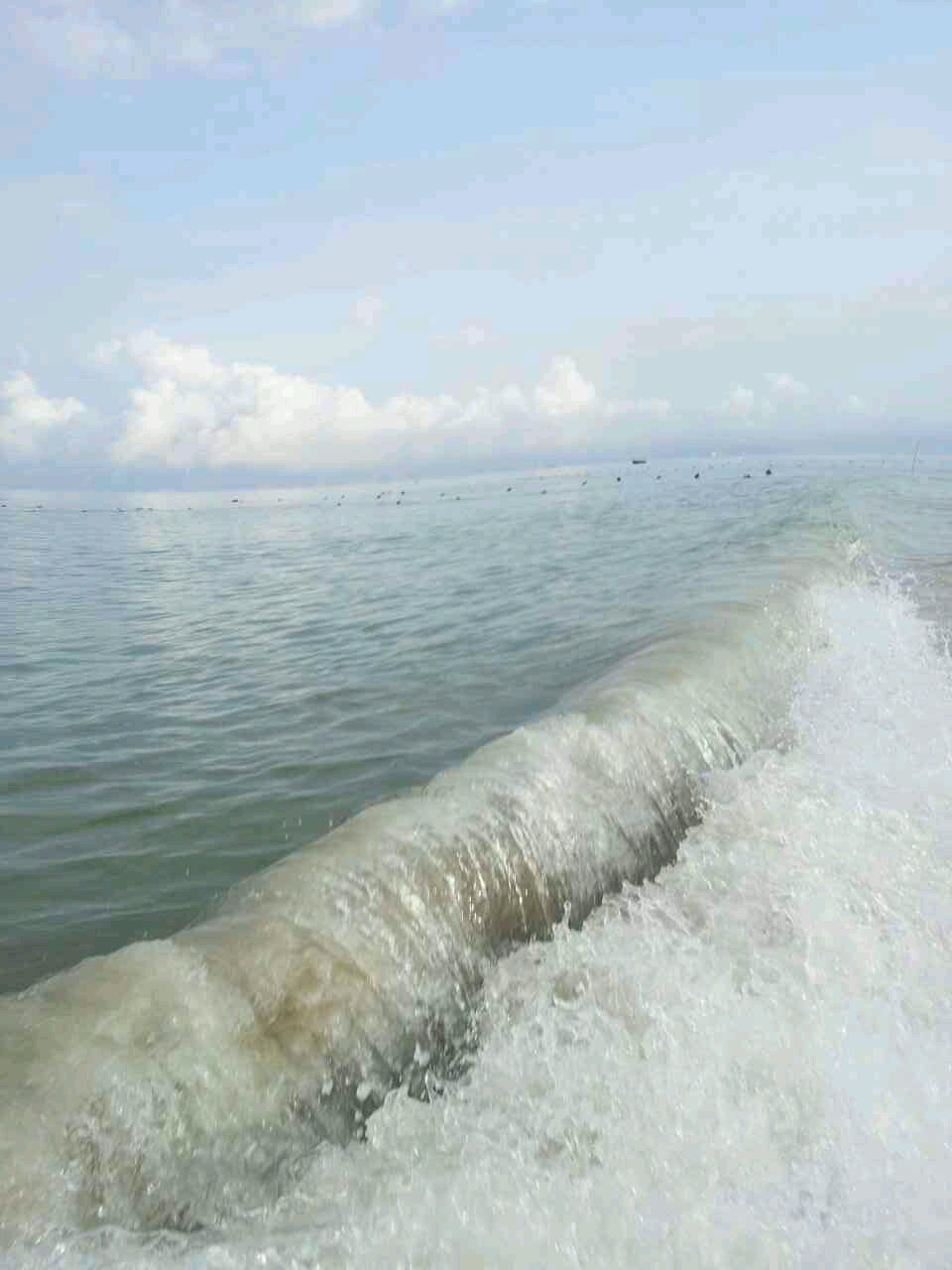 麦培鑫《浪》