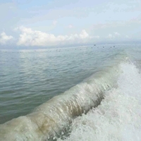麦培鑫《浪》