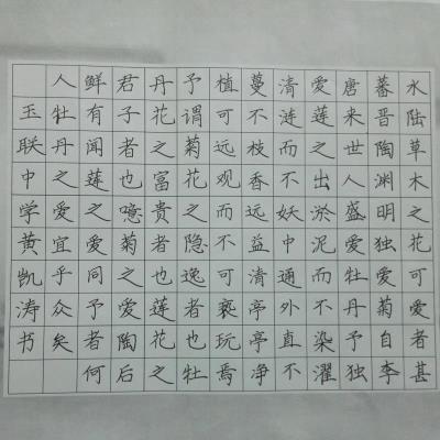 揭阳 揭东区玉湖镇玉联初级中学 硬笔中学组 黄凯涛