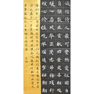 东莞 石龙镇爱联学校 软笔小学组 谢善而