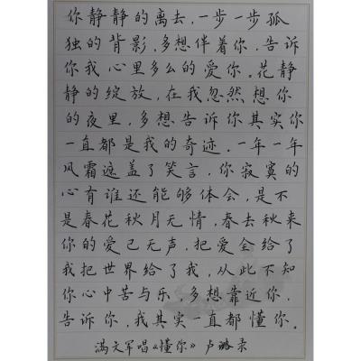 珠海 珠海市香洲区香山学校 硬笔教师组 卢璐