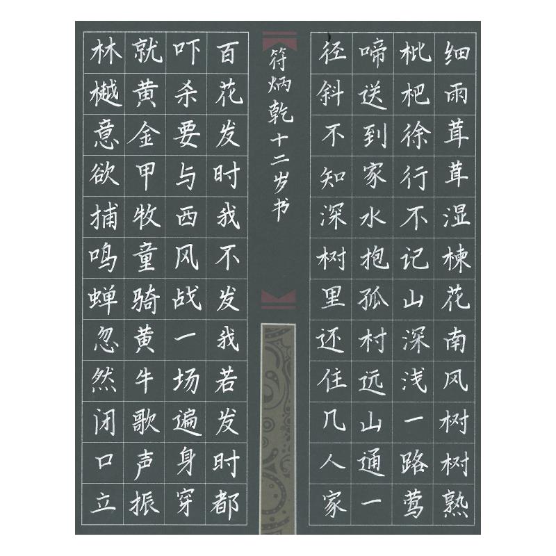东莞 东莞市石碣镇中心小学 硬笔小学组 符炳乾