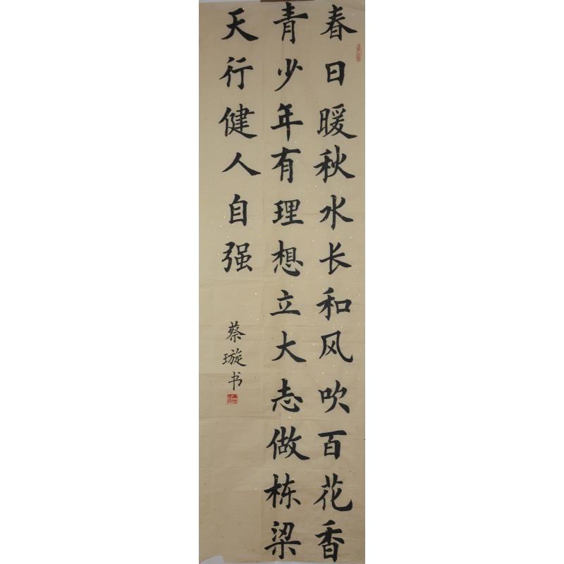 佛山 佛山市实验小学 软笔小学组 蔡璇