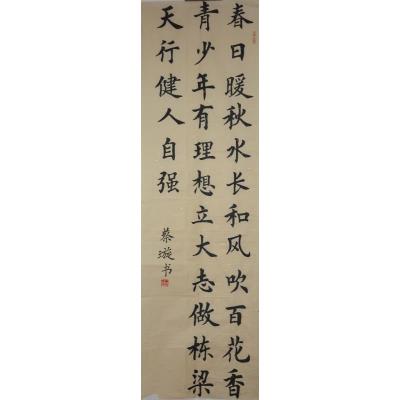 佛山 佛山市实验小学 软笔小学组 蔡璇