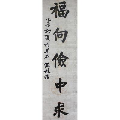 广州 番禺区洛浦东乡小学 软笔教师组 温桂浩