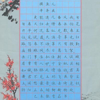 韶关 南雄市黎灿学校 硬笔教师组 张雪茹