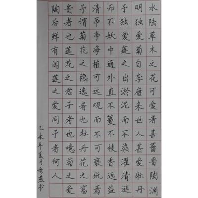 河源 河源中学实验学校 硬笔教师组 魏秀燕