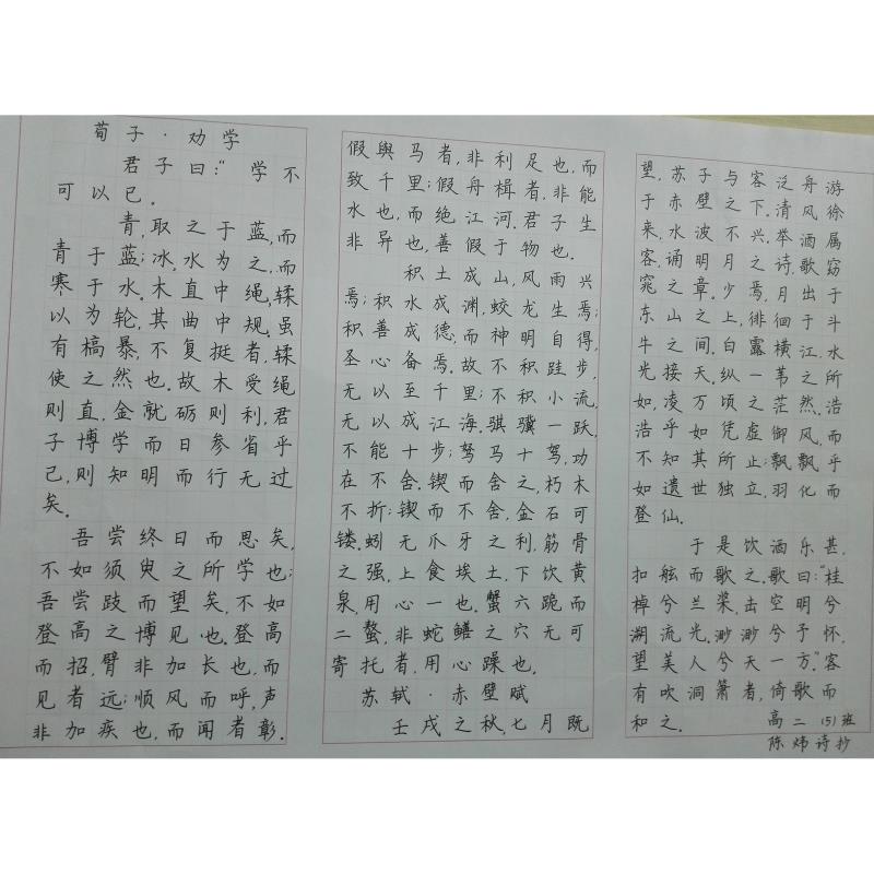 佛山 三水华侨中学 硬笔中学组 梁炳伦