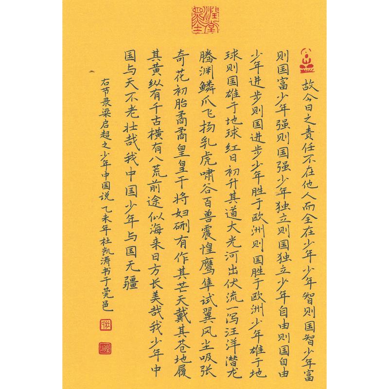 东莞 东莞市松山湖中心小学 硬笔教师组 杜凯涛