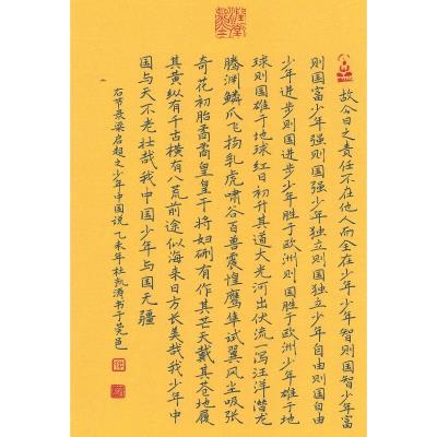 东莞 东莞市松山湖中心小学 硬笔教师组 杜凯涛