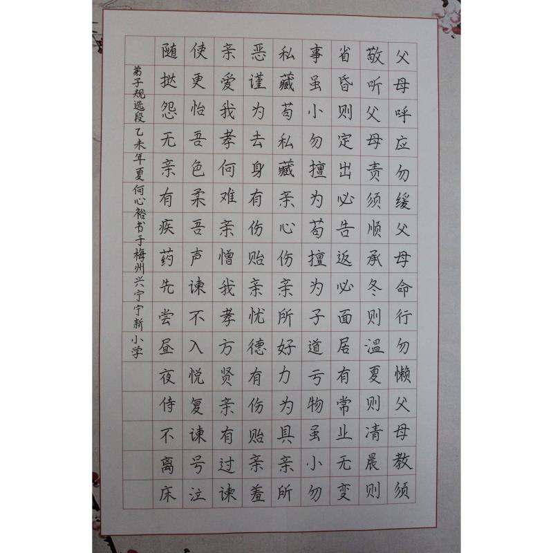 梅州 兴宁市宁新中心小学 硬笔小学组 何心裕