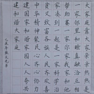 广州 增城区新康小学 硬笔教师组 张文光