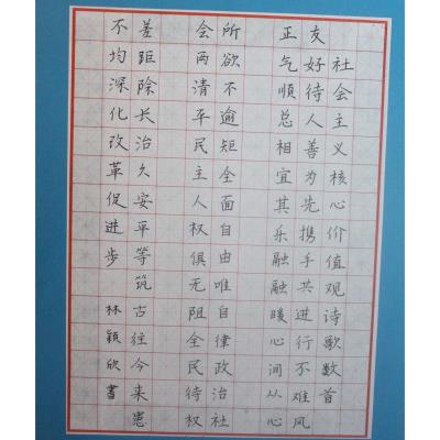 中山 中山市板芙镇湖洲小学 硬笔小学组 林颖欣