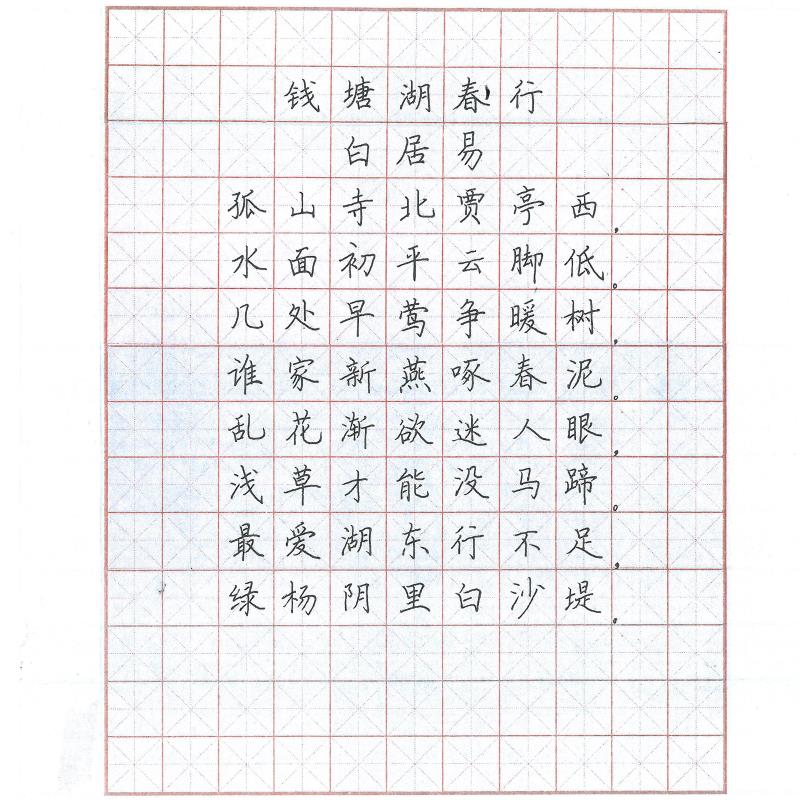 广州 广州市越秀区广州市华侨外国语学校 硬笔中学组 陈扬洋