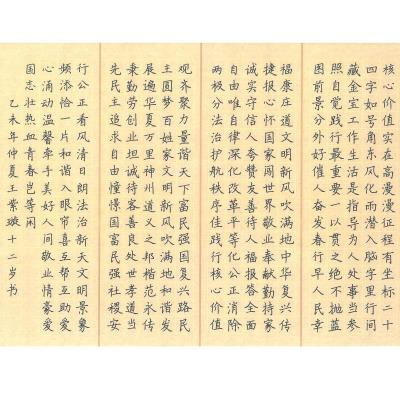 东莞 东莞市厚街镇溪头小学 硬笔小学组 王紫璇
