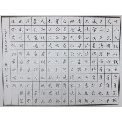 湛江 湛江市第二十九小学 硬笔小学组 杨朔
