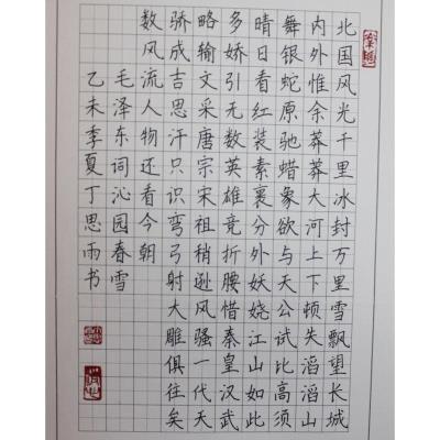 潮州 潮州市湘桥区城南中英文学校 硬笔小学组 丁思雨