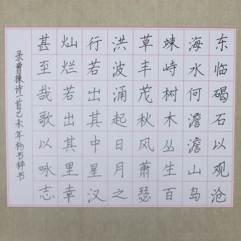 汕头 汕头市濠江区民生学校 硬笔小学组 杨书桦