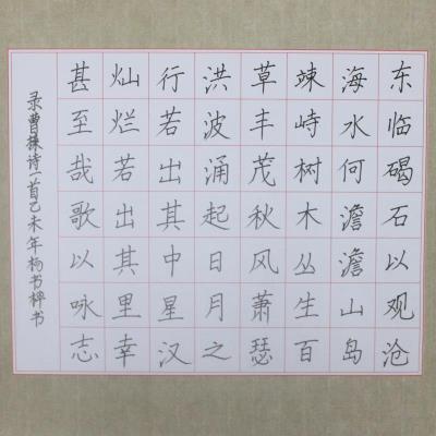 汕头 汕头市濠江区民生学校 硬笔小学组 杨书桦