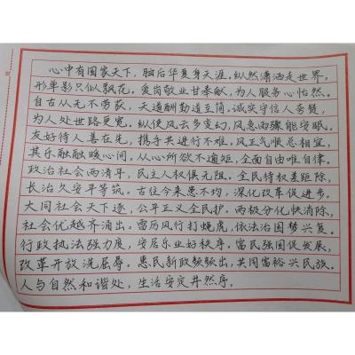 韶关 韶关市仁化县仁化中学 硬笔中学组 李静怡