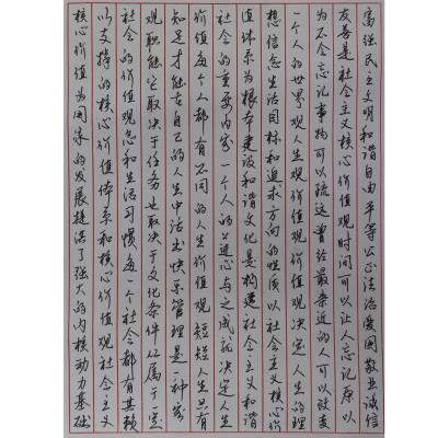 韶关 韶关市仁化县仁化中学 硬笔教师组 付文平