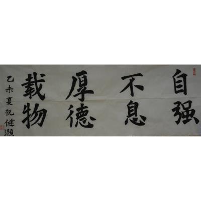 云浮 云浮市新兴县实验小学 软笔小学组 祝健灏