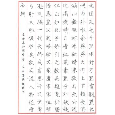 东莞 东莞市东莞中学初中部 硬笔中学组 梁佩琪