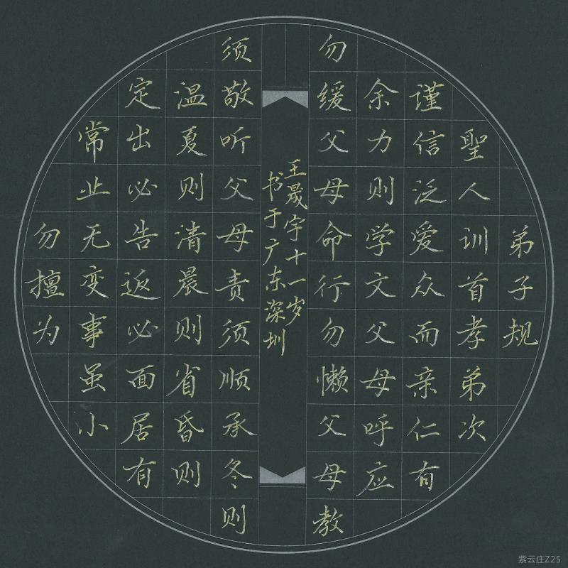 深圳 深圳市龙华新区观澜振能小学 硬笔小学组 王晟宇