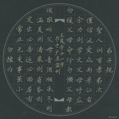 深圳 深圳市龙华新区观澜振能小学 硬笔小学组 王晟宇