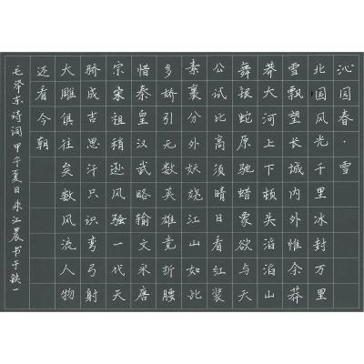 广州 广州市越秀区广州市铁一中学 硬笔中学组 朱江晨