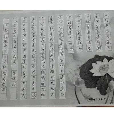 揭阳 揭东区玉湖镇玉联初级中学 硬笔中学组 纪奕凯