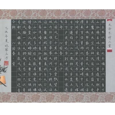 江门 江门市第八中学 硬笔教师组 林翠玉